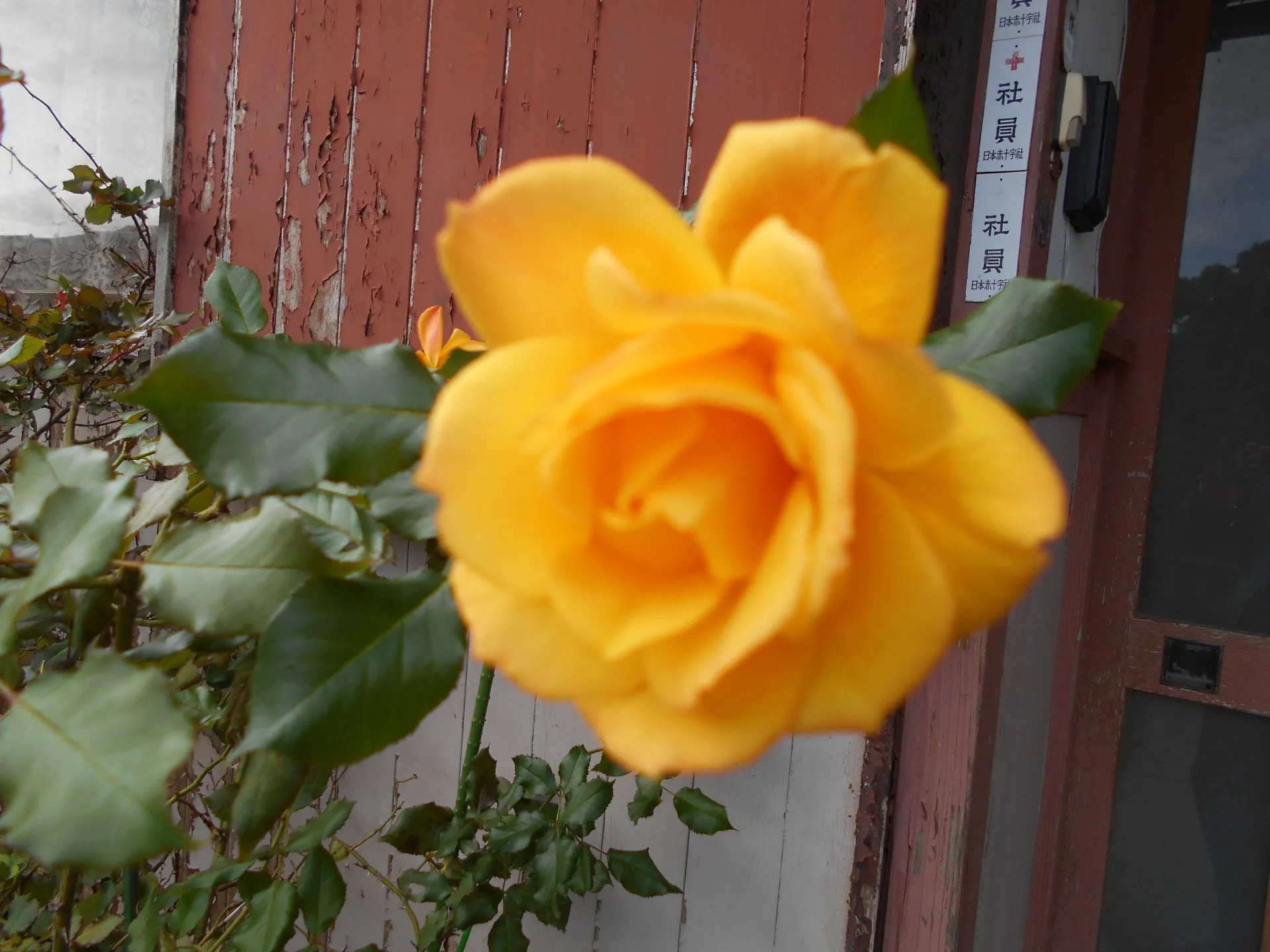 【水戸の塾】大学受験で成功した事例1