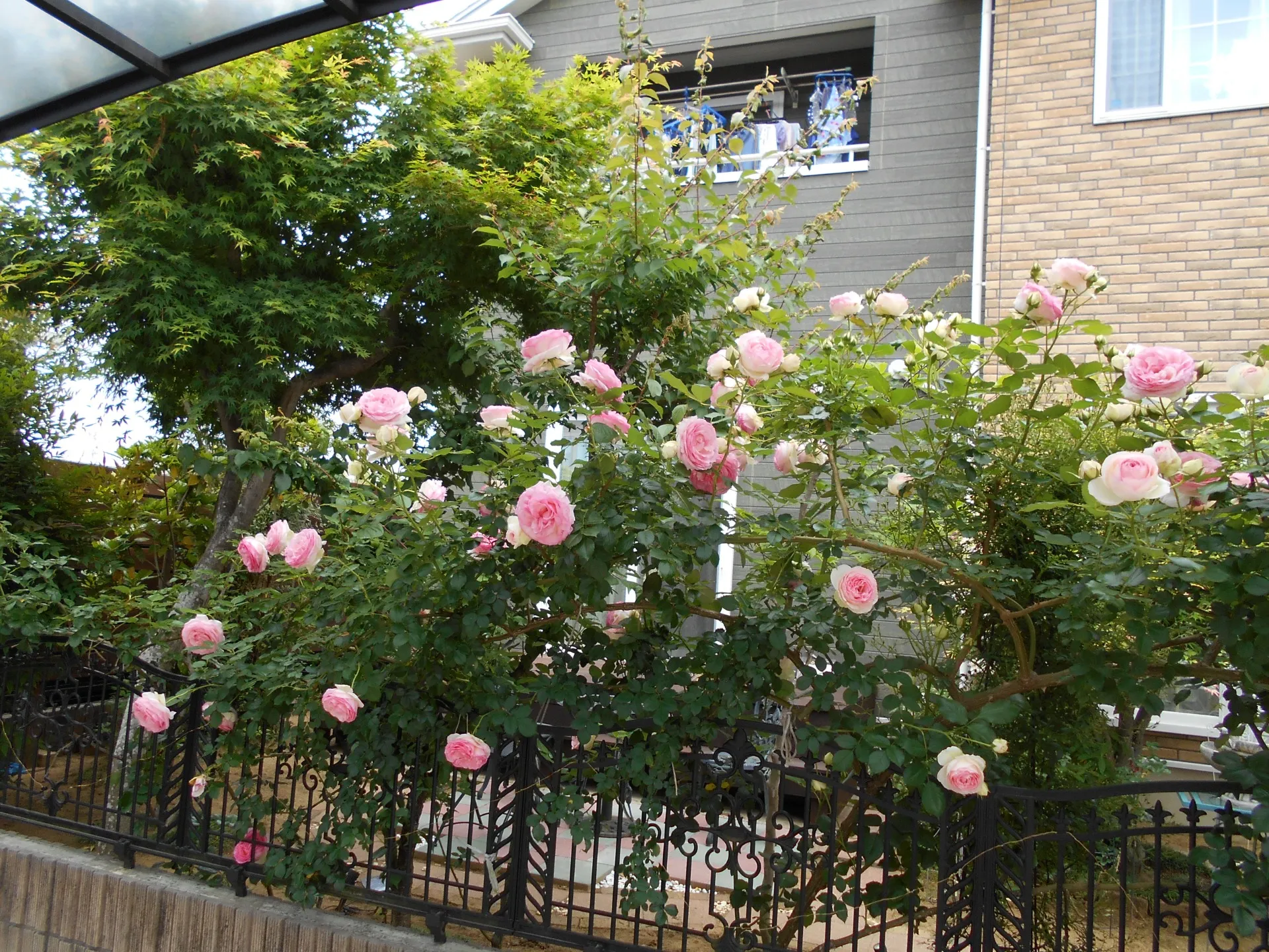 定期試験で100点を狙う